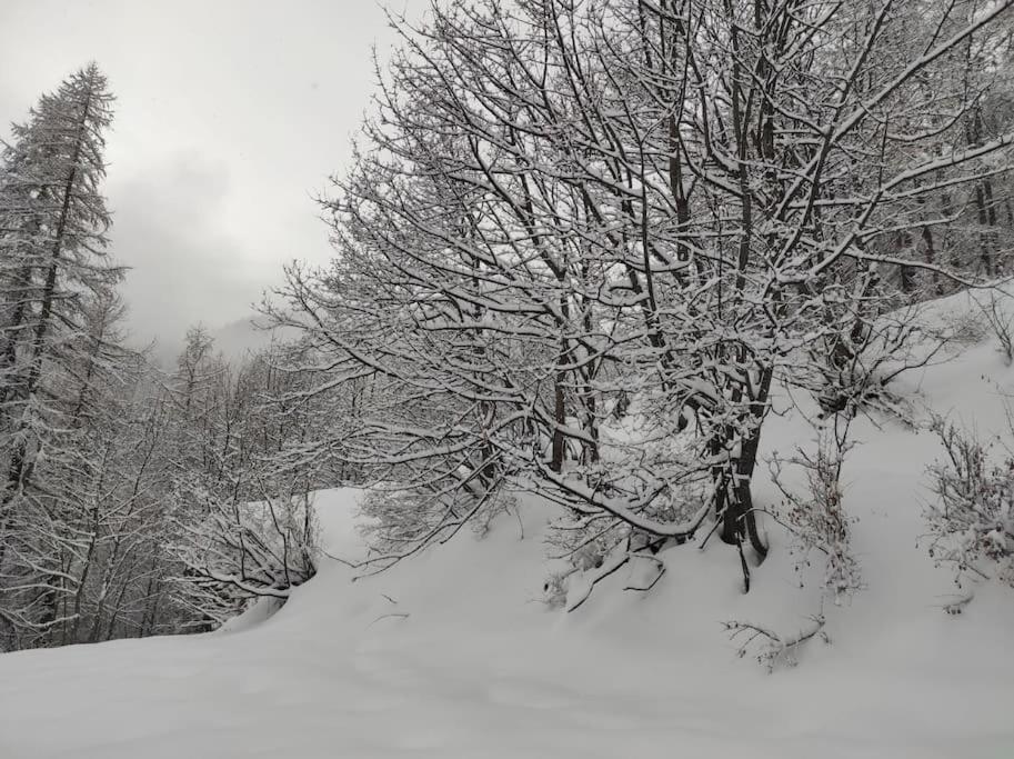 Briançon Appartement Vue Montagne, Cosy Et Chaleureux מראה חיצוני תמונה